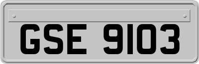 GSE9103