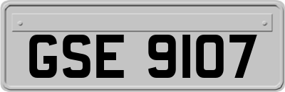 GSE9107