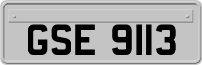GSE9113