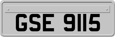 GSE9115