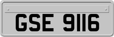 GSE9116