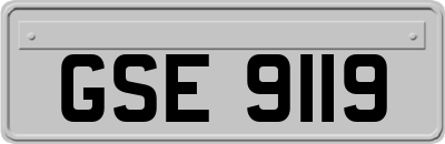 GSE9119