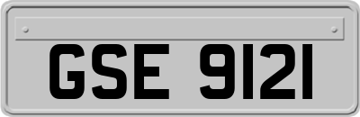 GSE9121