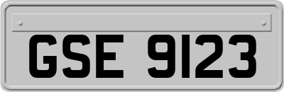 GSE9123