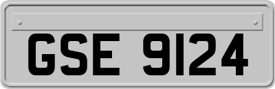 GSE9124