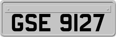 GSE9127