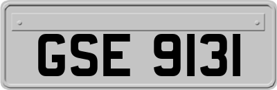 GSE9131