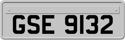 GSE9132