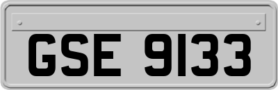 GSE9133