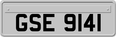 GSE9141