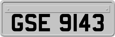 GSE9143