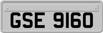 GSE9160