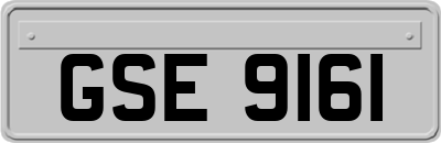 GSE9161