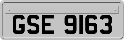 GSE9163