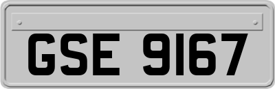 GSE9167