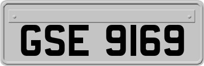 GSE9169