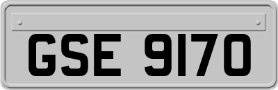 GSE9170
