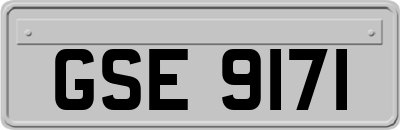 GSE9171