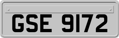 GSE9172