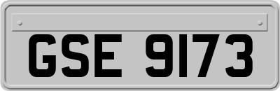 GSE9173