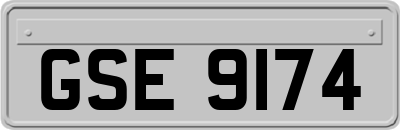 GSE9174