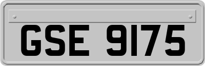 GSE9175