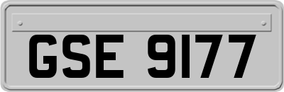 GSE9177