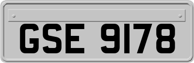 GSE9178