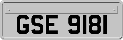 GSE9181