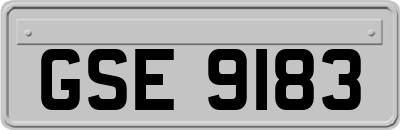 GSE9183