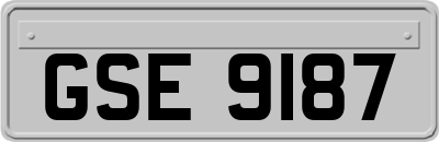 GSE9187