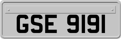 GSE9191