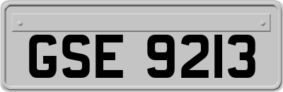 GSE9213