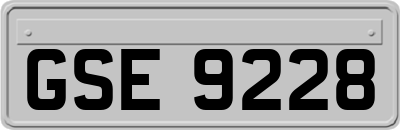 GSE9228