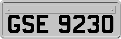 GSE9230