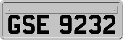 GSE9232