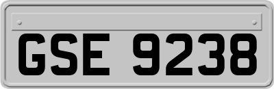 GSE9238