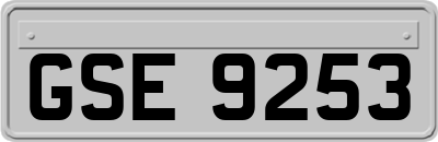 GSE9253