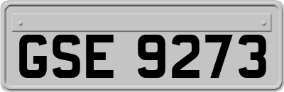 GSE9273