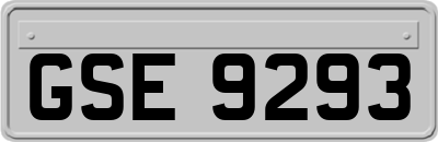 GSE9293