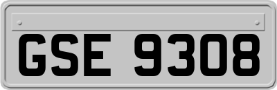GSE9308