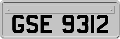 GSE9312