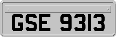 GSE9313