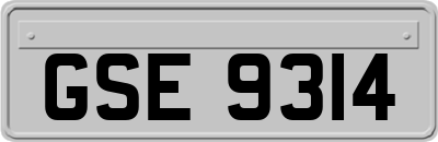 GSE9314
