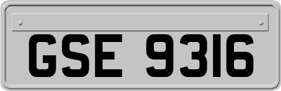 GSE9316