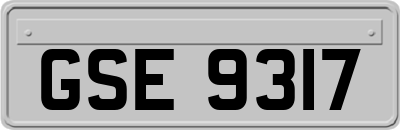 GSE9317