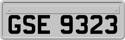 GSE9323