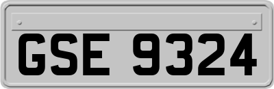 GSE9324