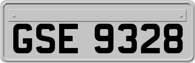 GSE9328