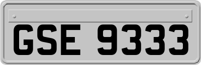 GSE9333